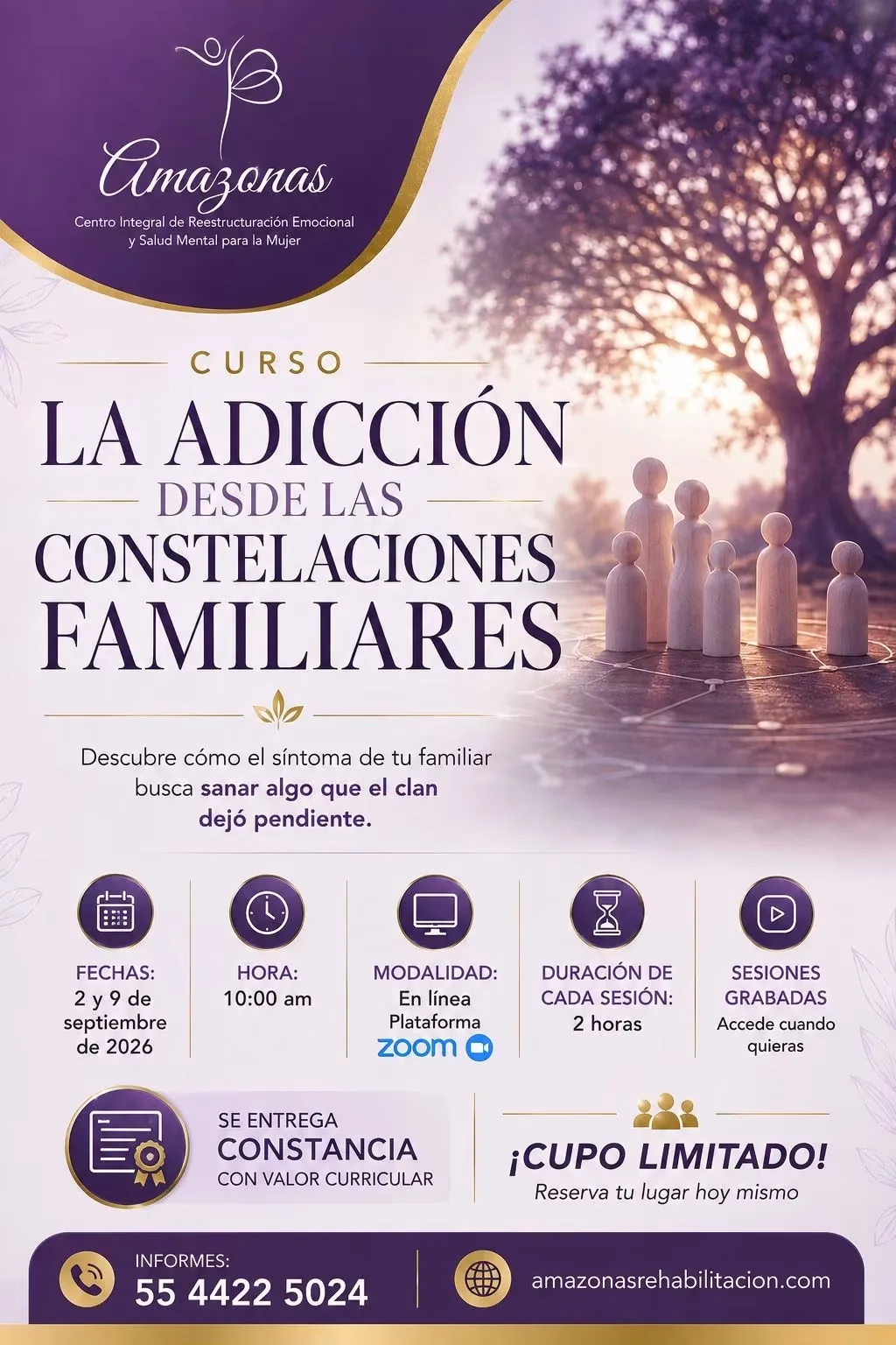 Curso de adicción desde las constelaciones familiares