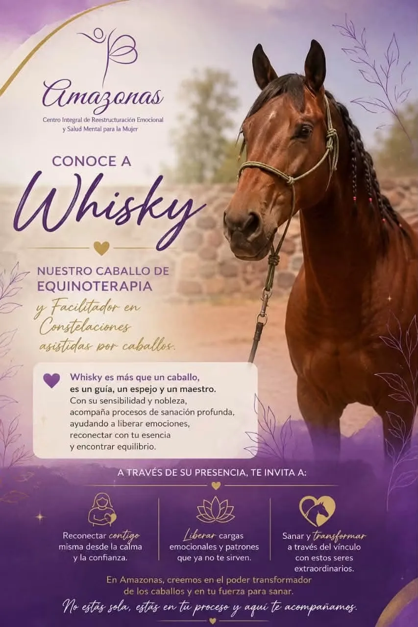Whisky, caballo de equinoterapia